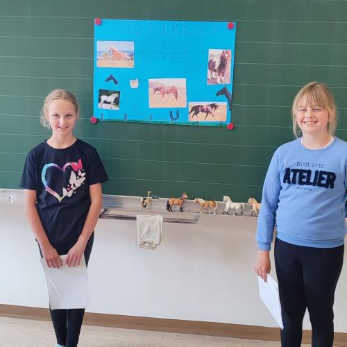 Referat Pferderassen 