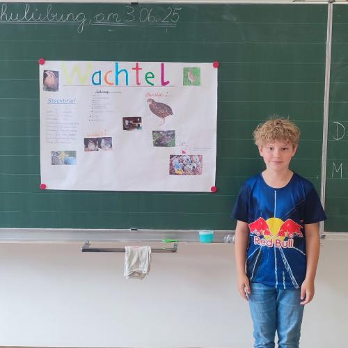 Referat Wachtel 